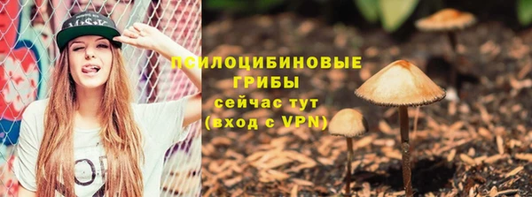 герыч Вяземский